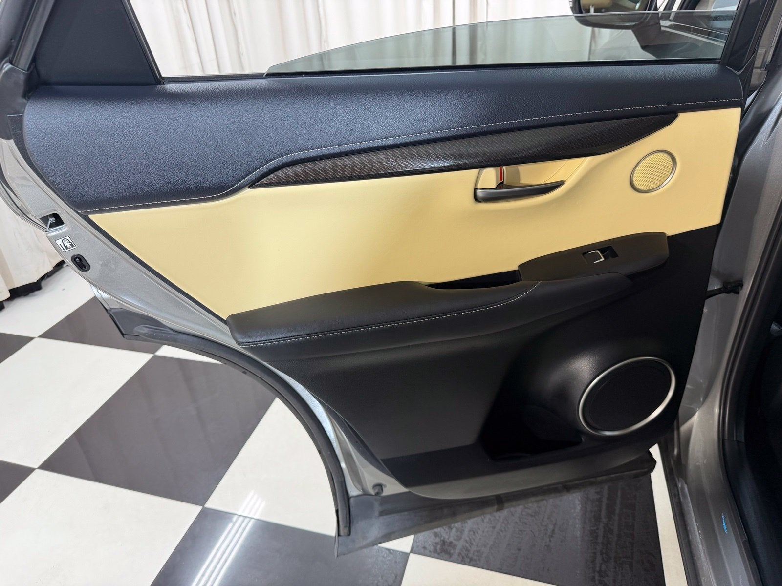 2019 Lexus NX 300h