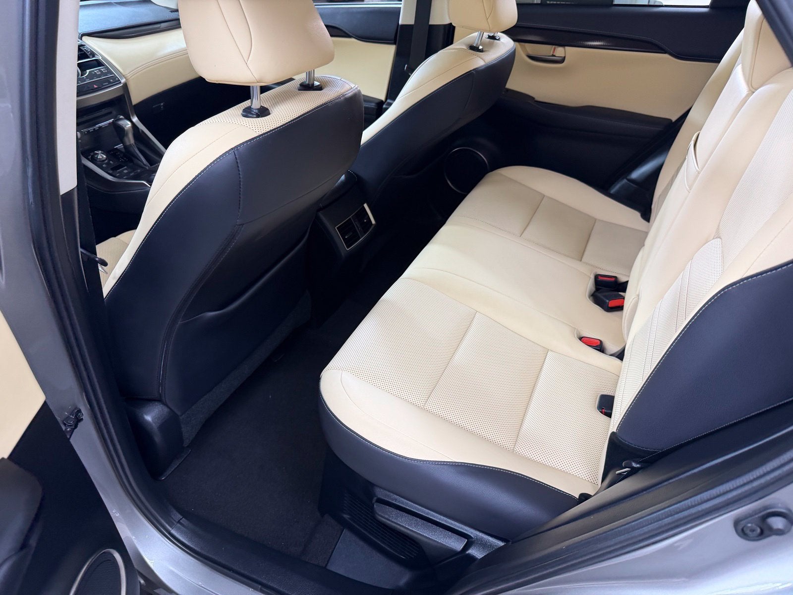 2019 Lexus NX 300h