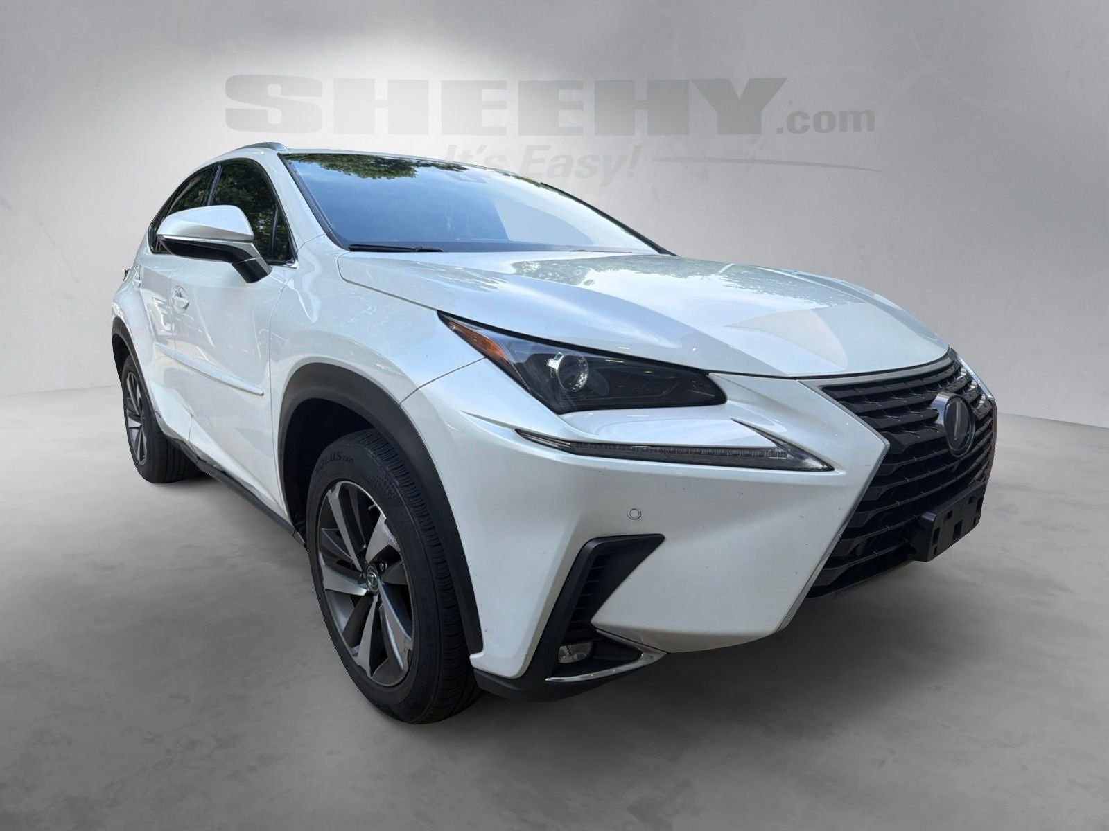 2018 Lexus NX 300h