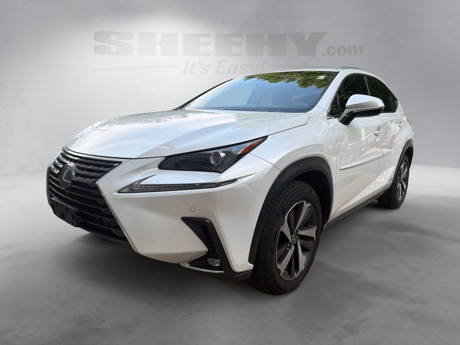 2018 Lexus NX 300h