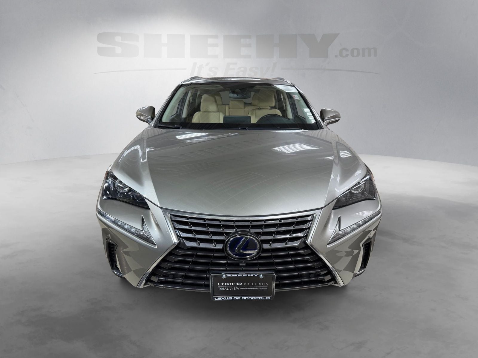 2021 Lexus NX 300h