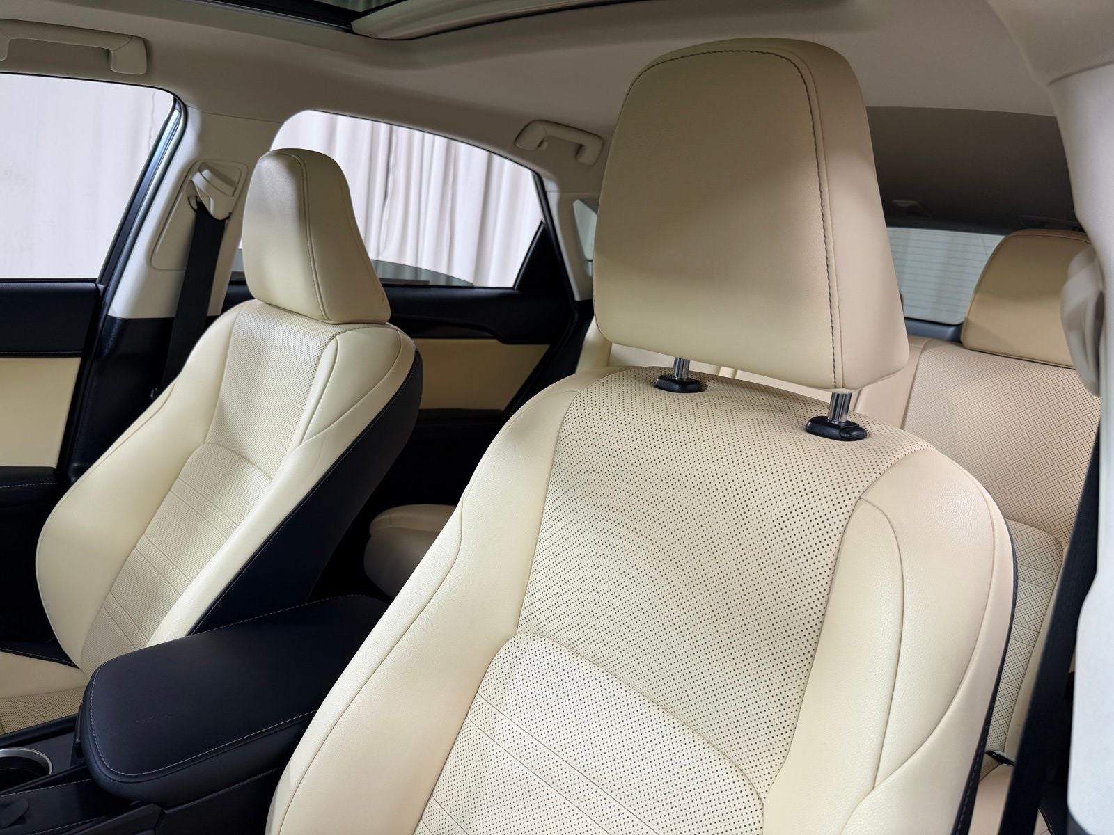 2021 Lexus NX 300h