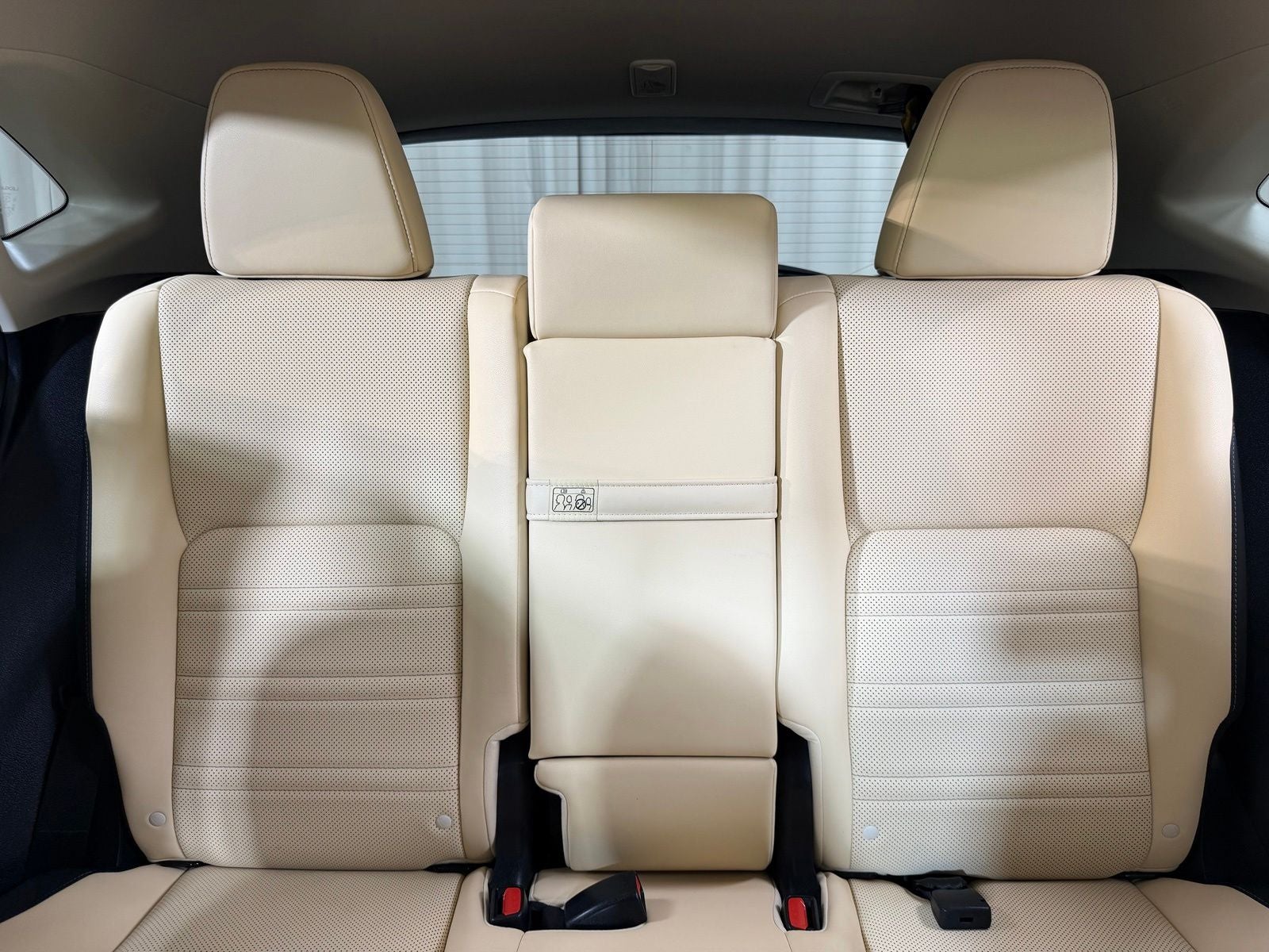 2021 Lexus NX 300h
