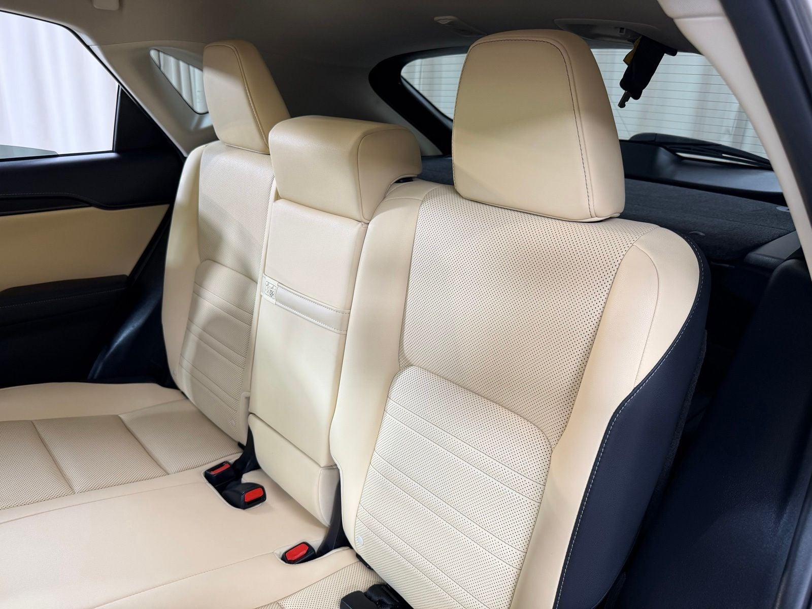 2021 Lexus NX 300h