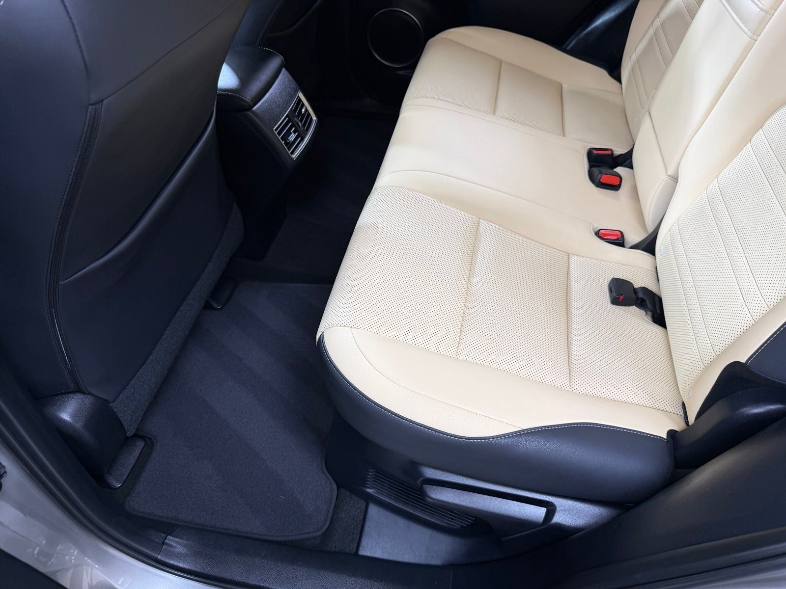 2021 Lexus NX 300h