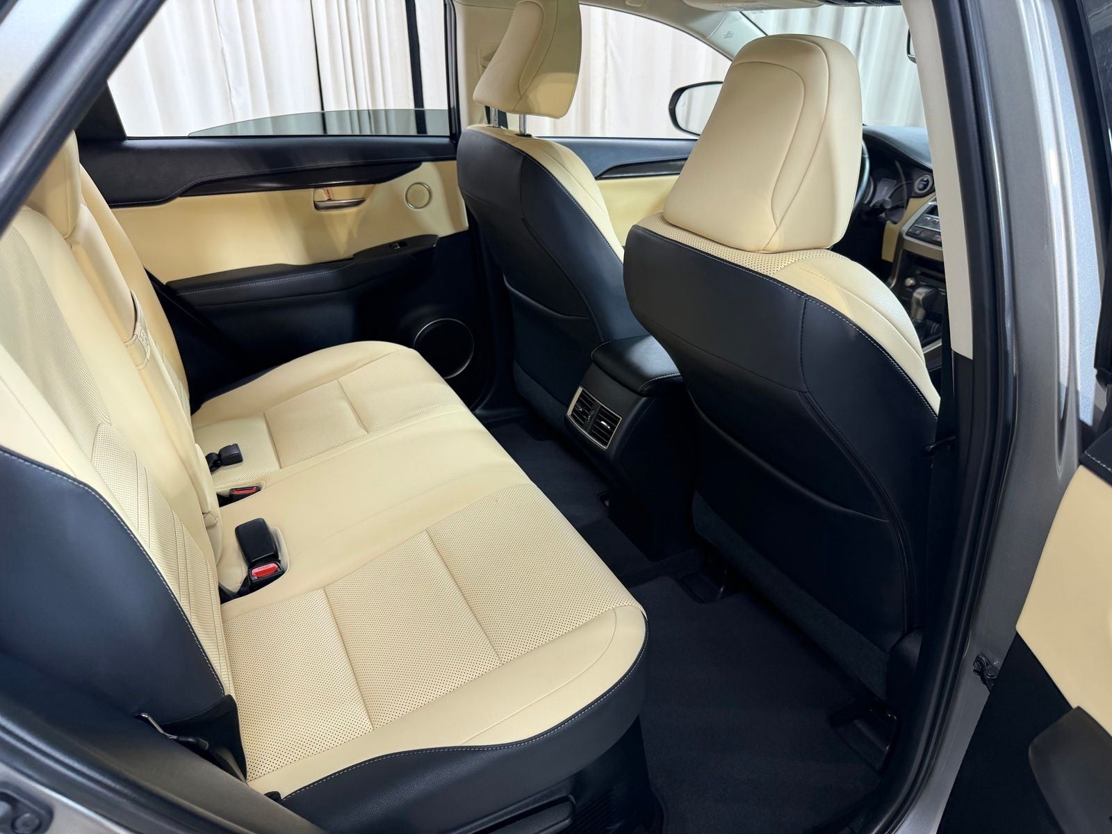 2021 Lexus NX 300h