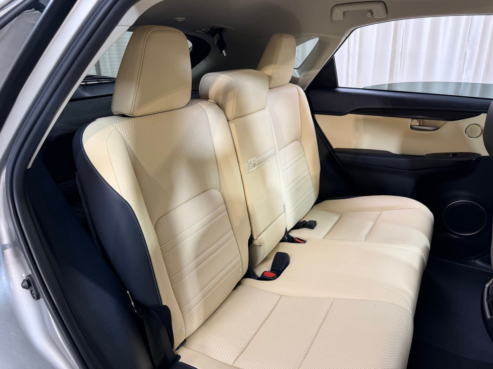 2021 Lexus NX 300h