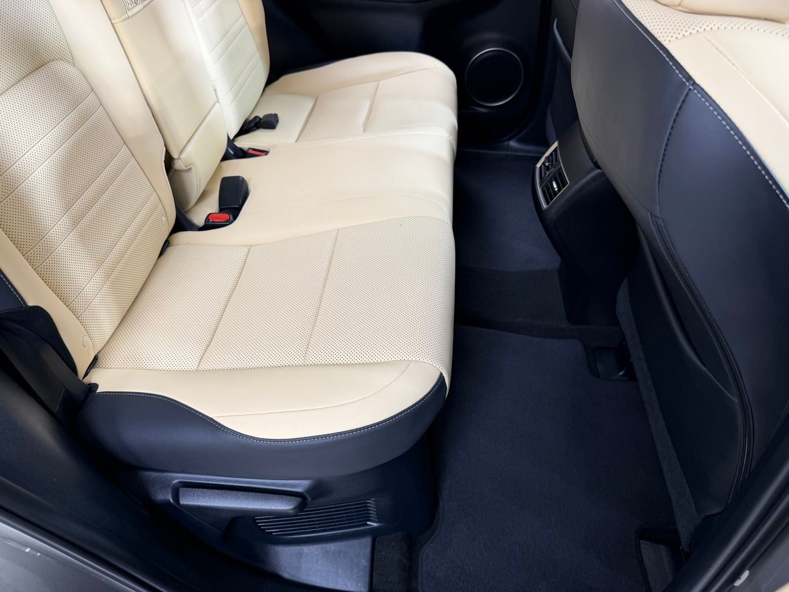 2021 Lexus NX 300h
