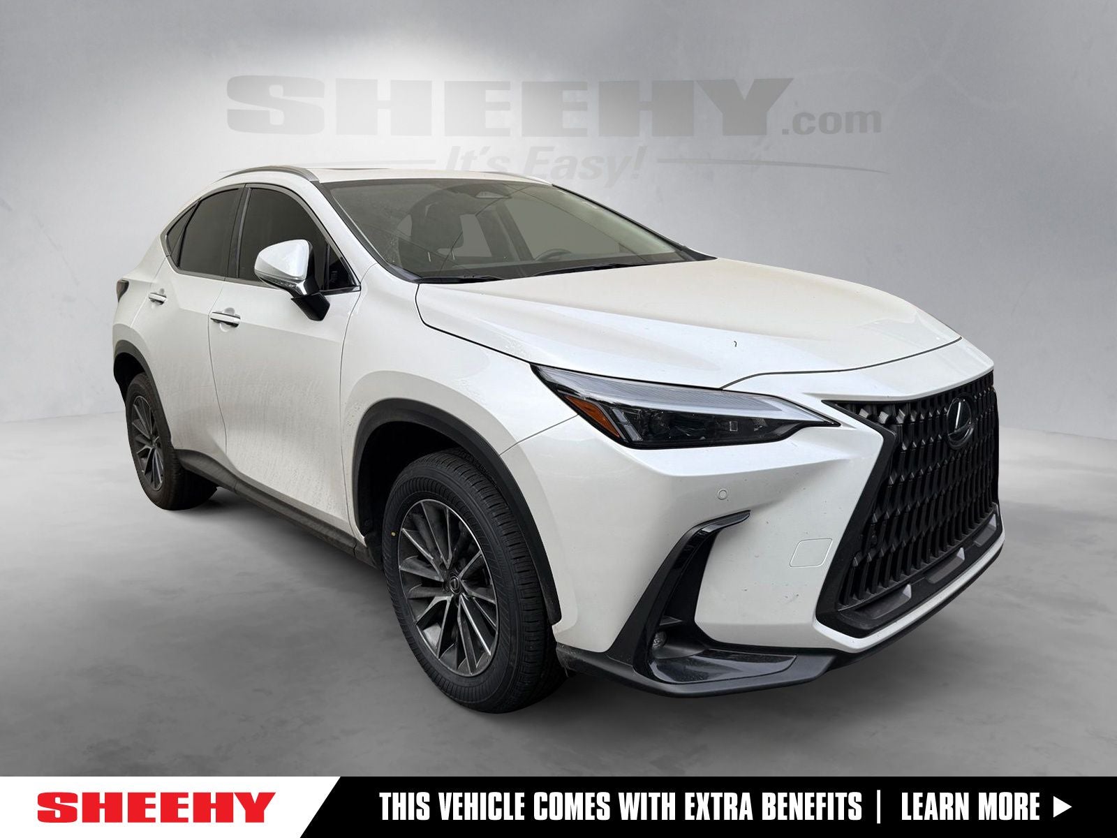 2025 Lexus NX 350 250 Premium FWD's photo