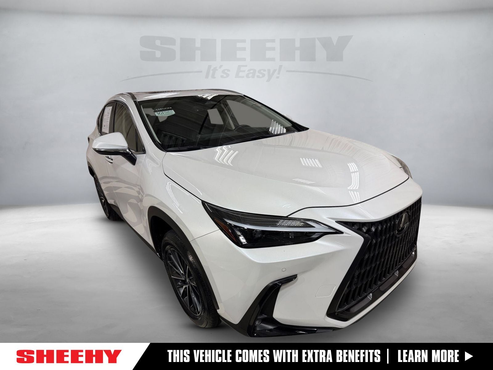2025 Lexus NX 250 Premium