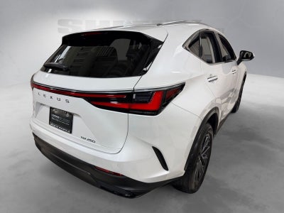 2025 Lexus NX 250 Premium