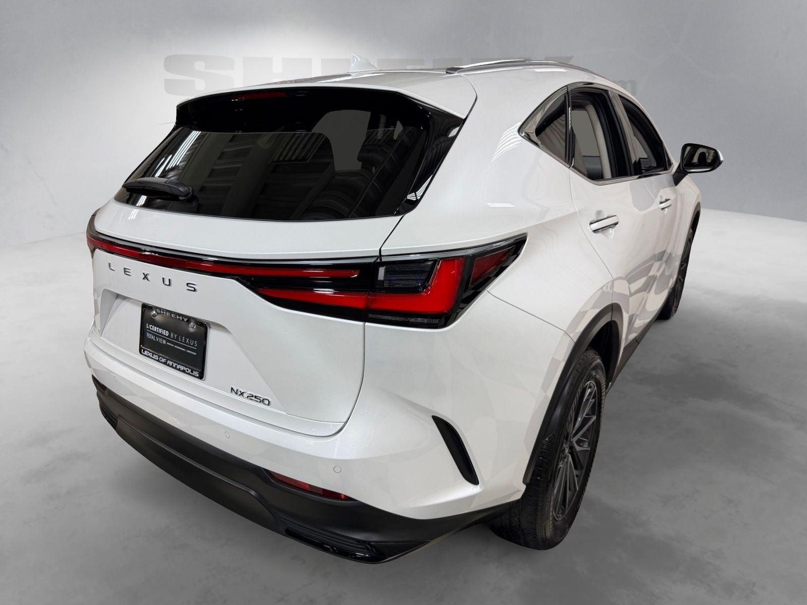2025 Lexus NX 250 Premium