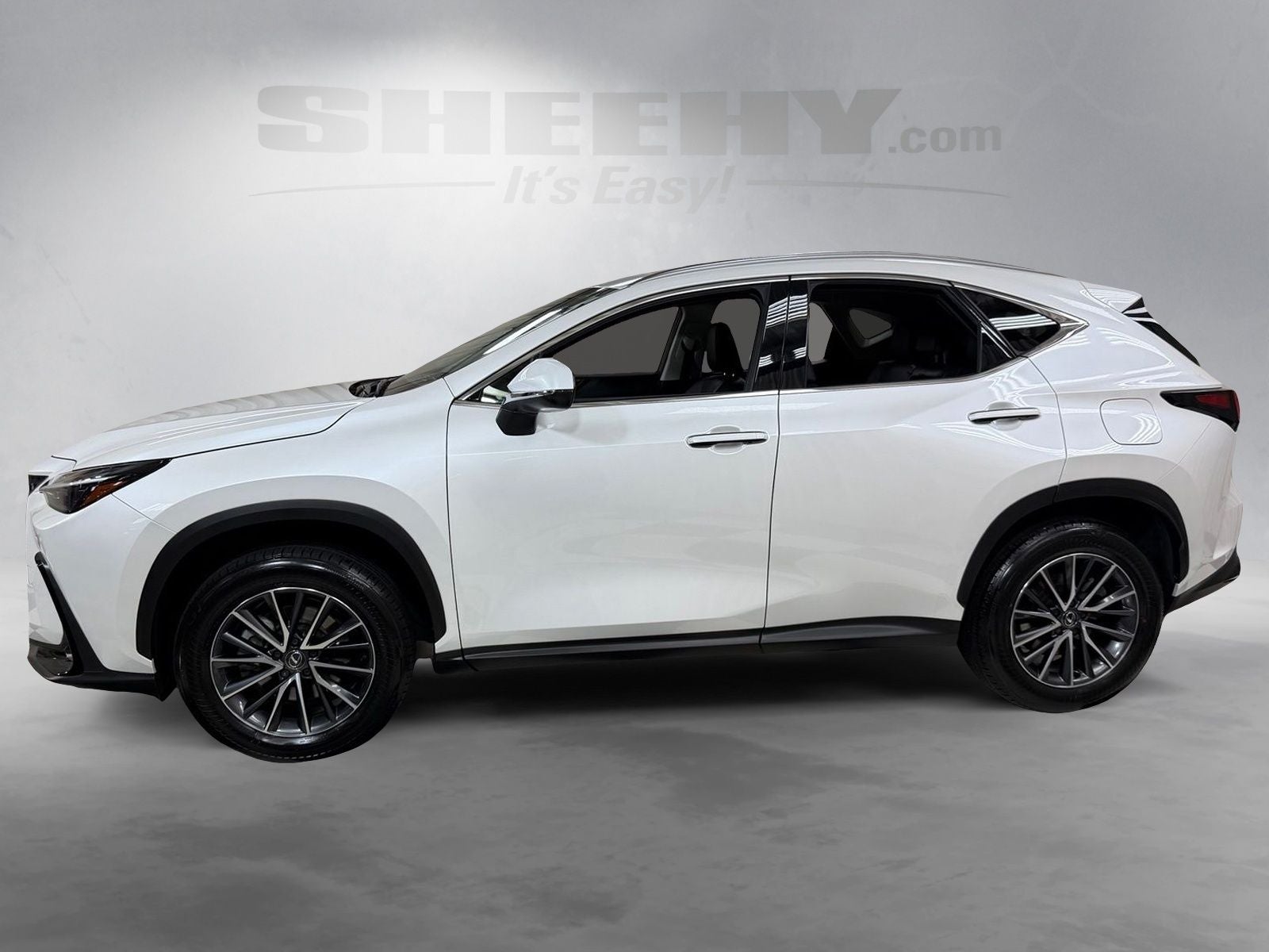 2025 Lexus NX 250 Premium