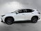 2025 Lexus NX 250 Premium