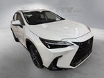 2025 Lexus NX 250 Premium