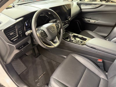 2025 Lexus NX 250 Premium