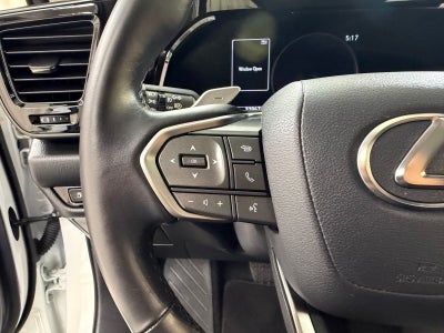 2025 Lexus NX 250 Premium
