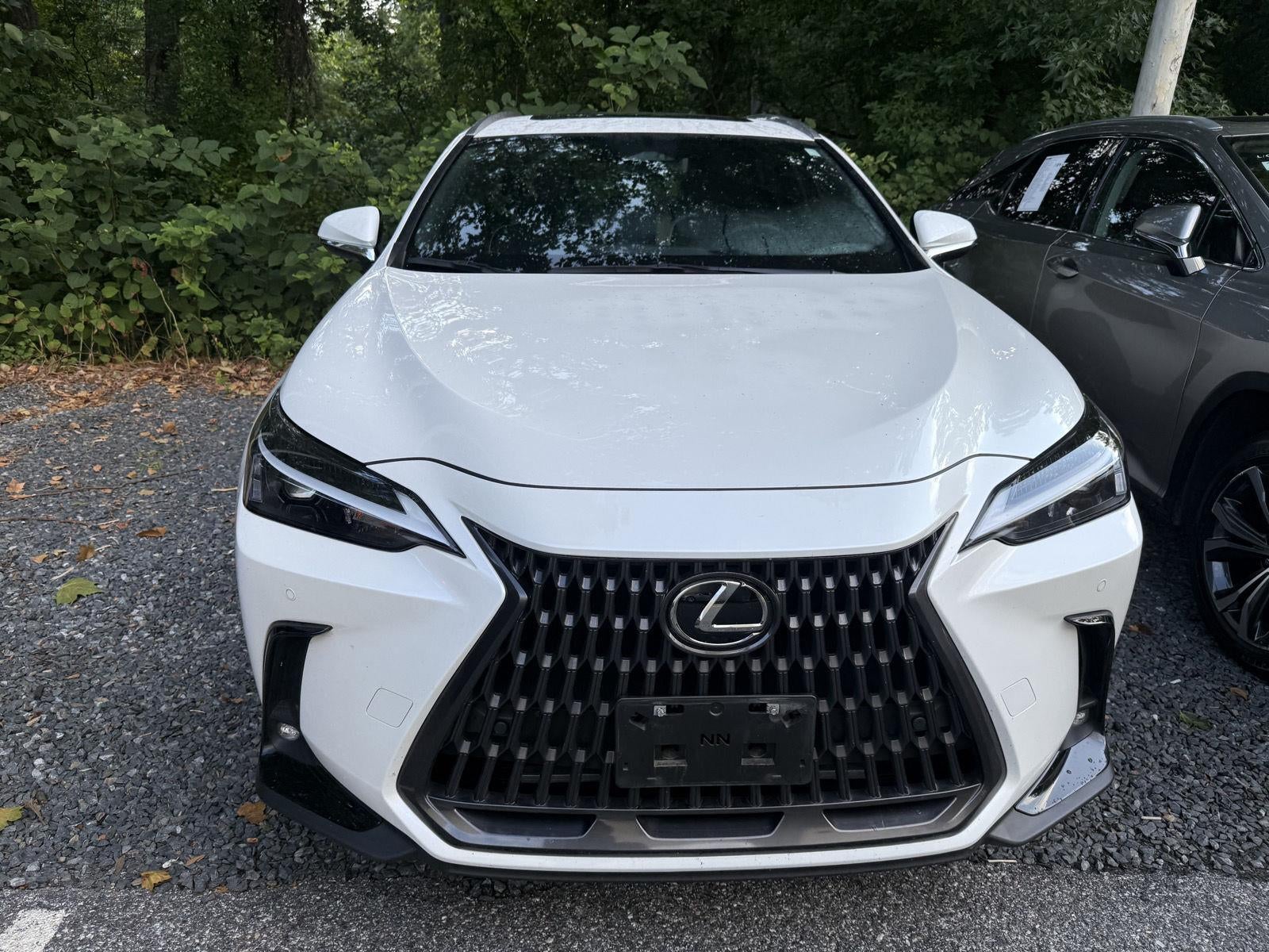 2024 Lexus Nx NX 350 Premium