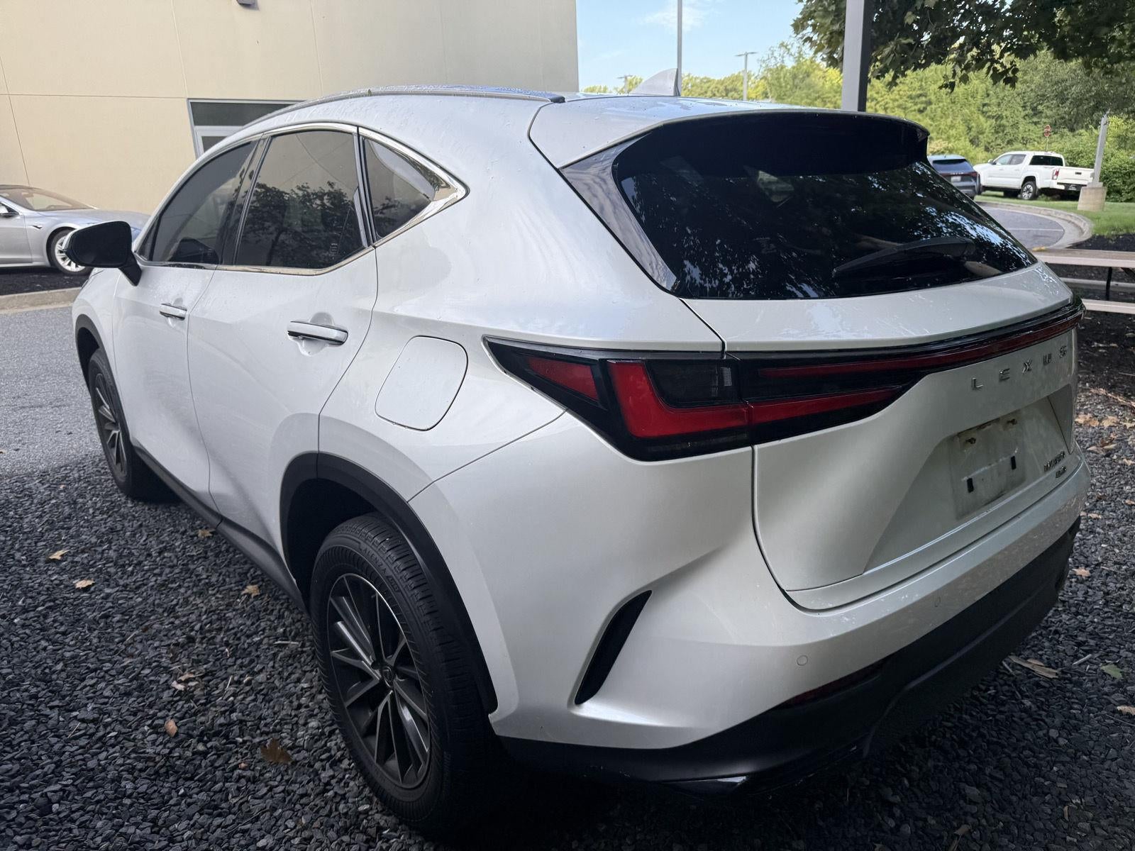 2024 Lexus Nx NX 350 Premium