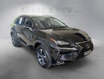 2021 Lexus NX 300h