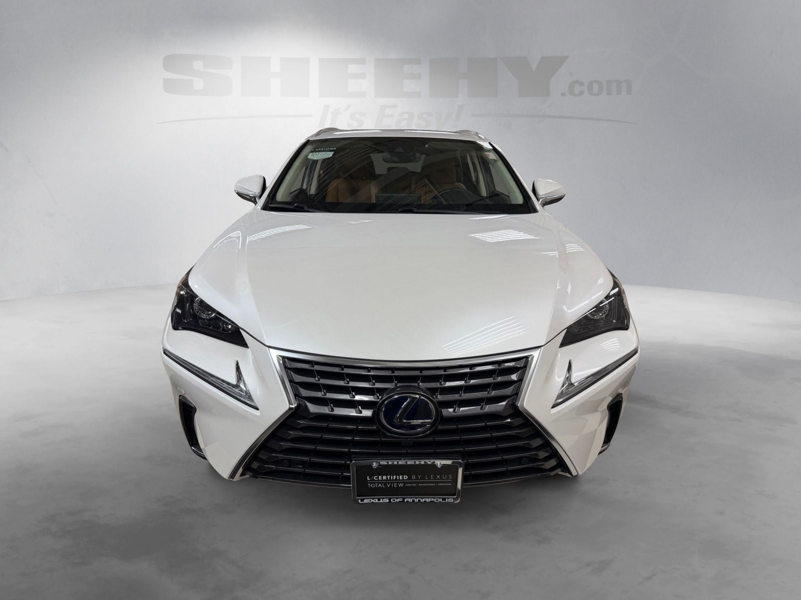 2021 Lexus NX 300h