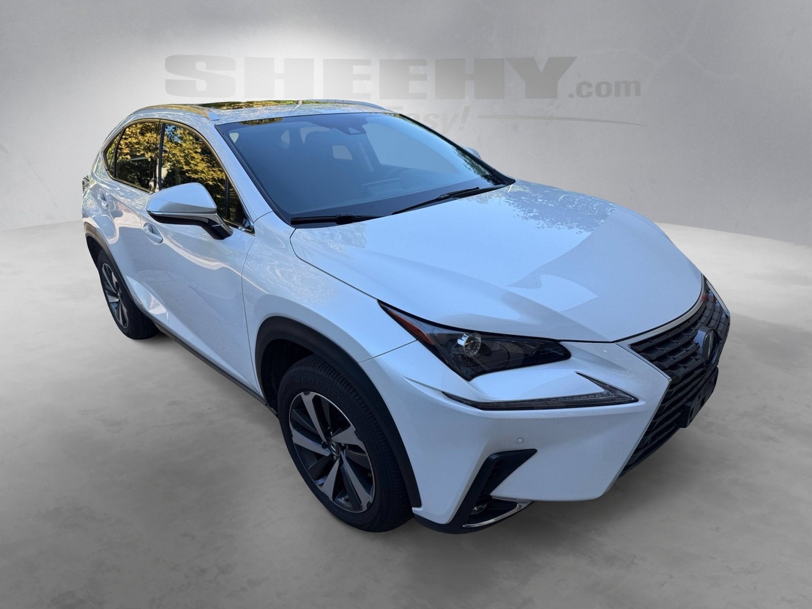 2021 Lexus NX 300h