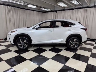2021 Lexus NX 300h