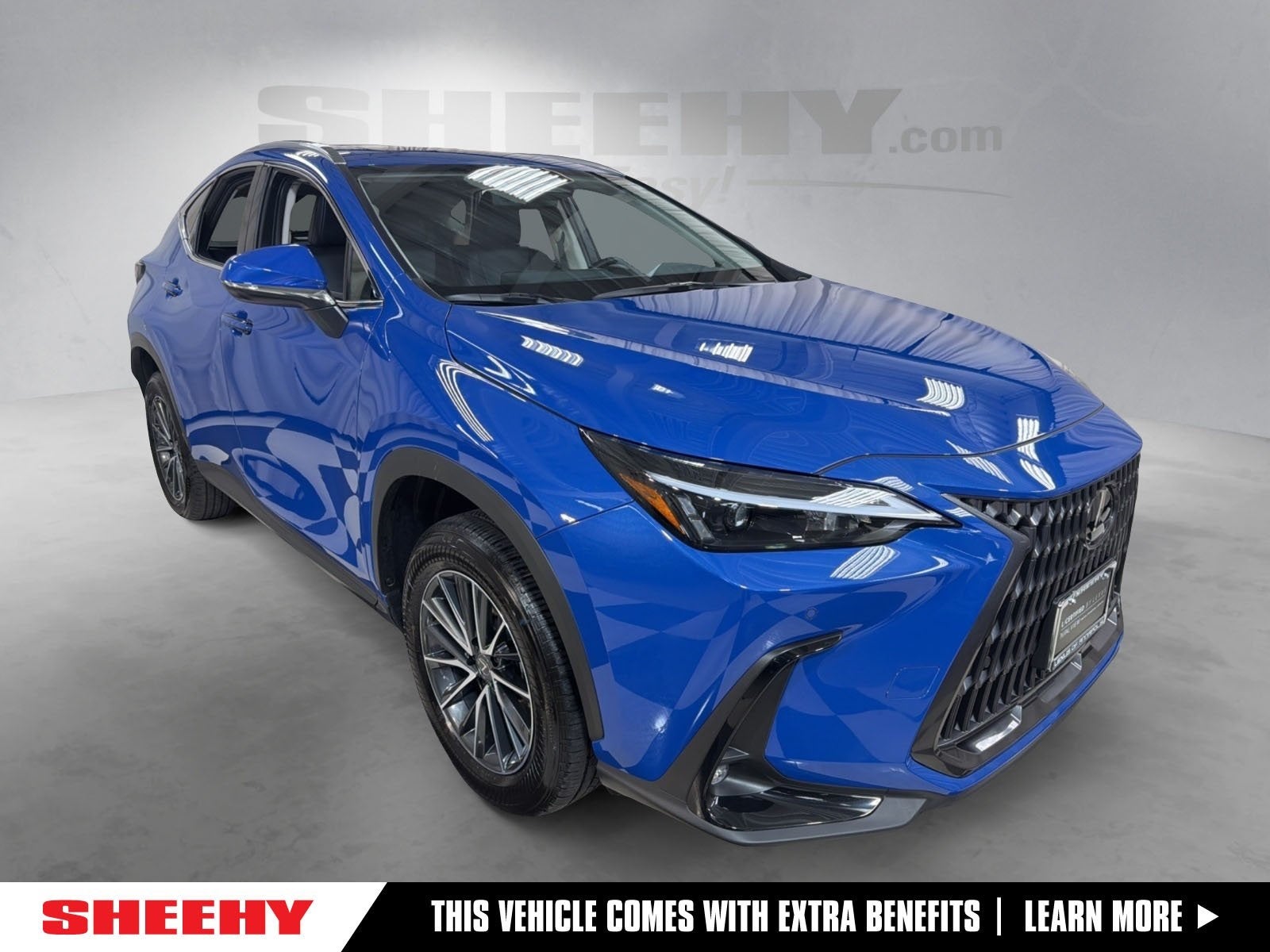 2025 Lexus NX 350h Premium
