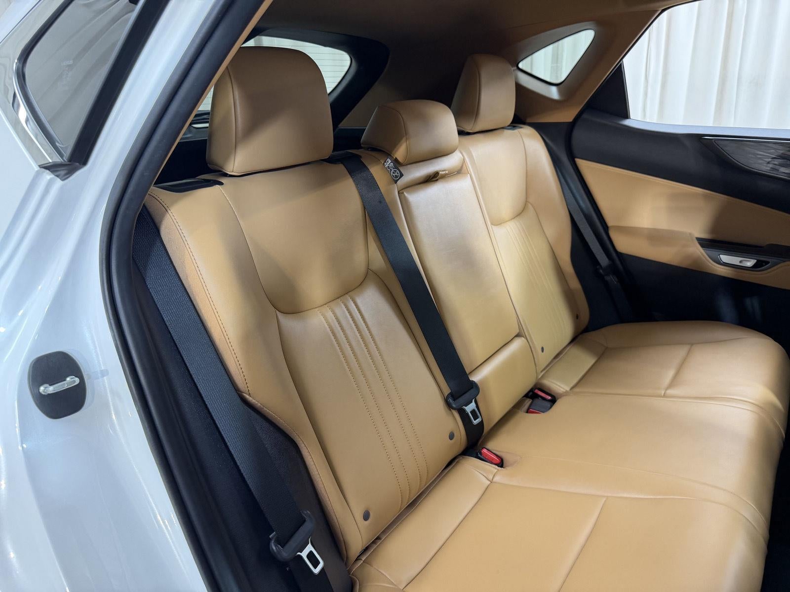 2025 Lexus Nx NX 350h Premium