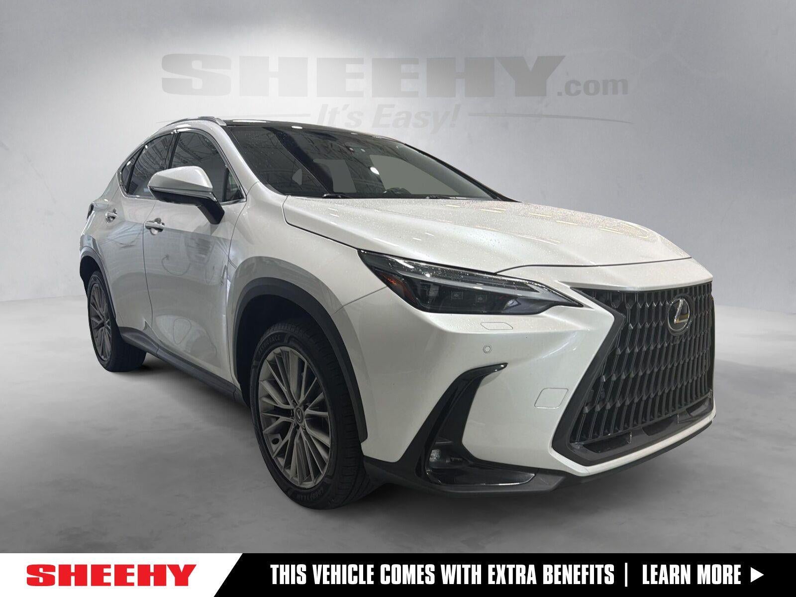 2024 Lexus Nx NX 350 Luxury