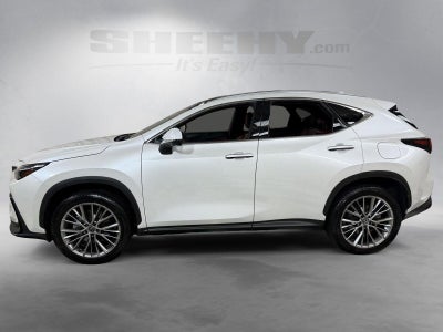 2024 Lexus Nx NX 350 Luxury