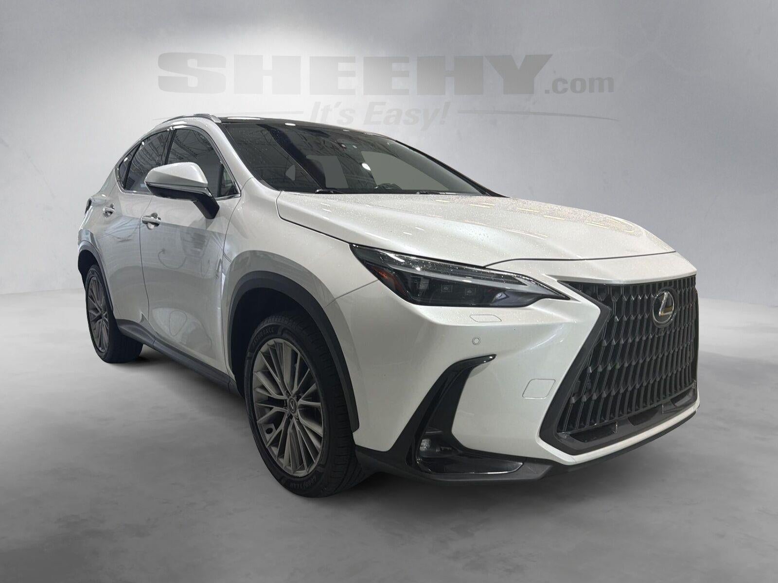 2024 Lexus Nx NX 350 Luxury