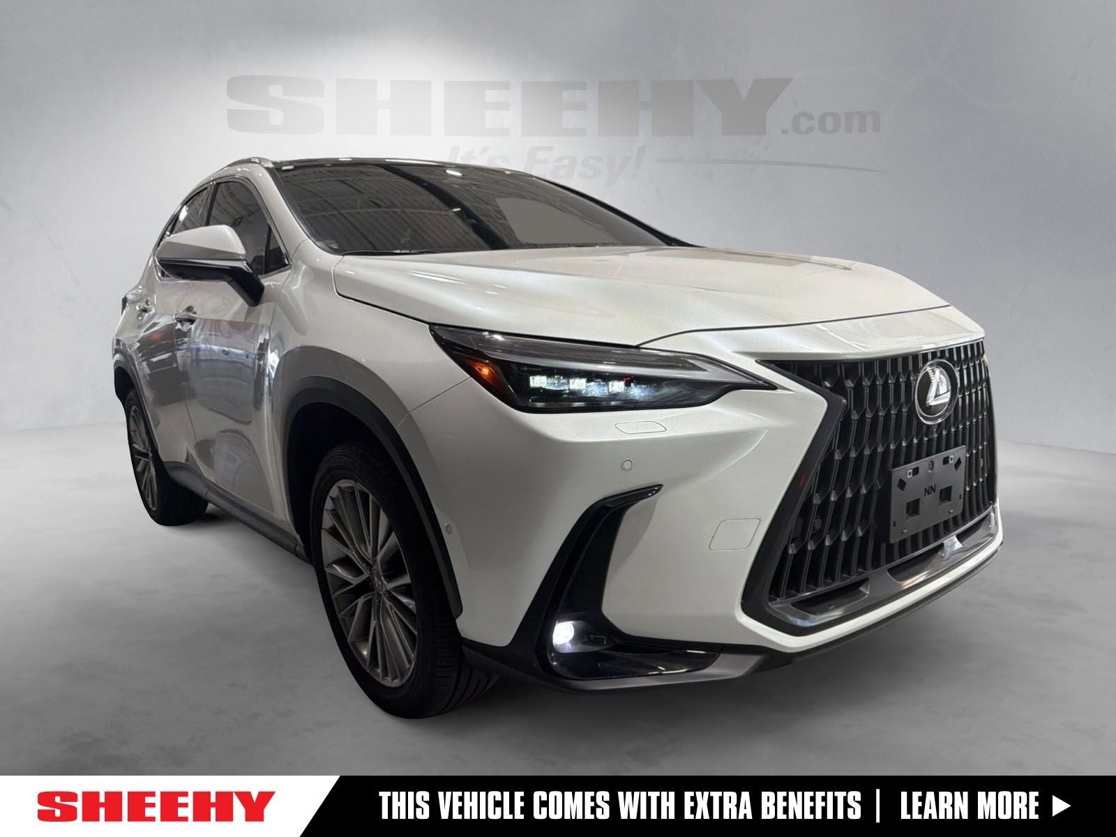 2025 Lexus NX 350 Luxury