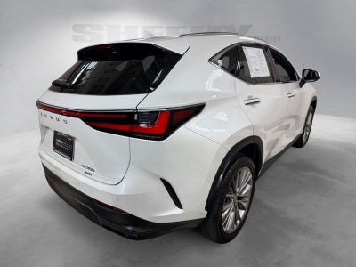 2025 Lexus NX NX 350 Luxury