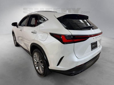 2025 Lexus NX NX 350 Luxury