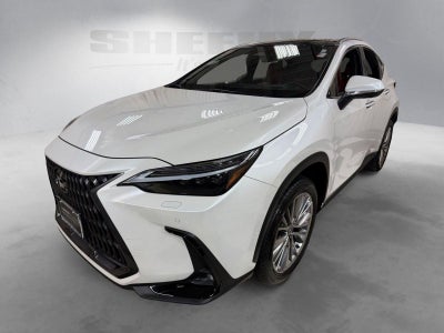 2025 Lexus NX NX 350 Luxury