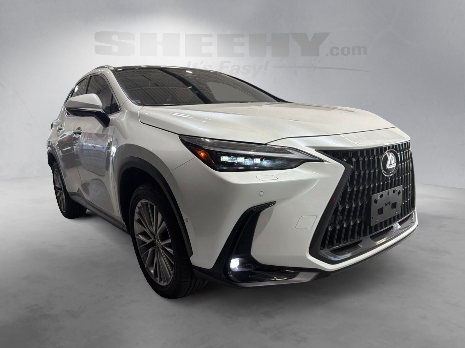 2025 Lexus NX 350 Luxury
