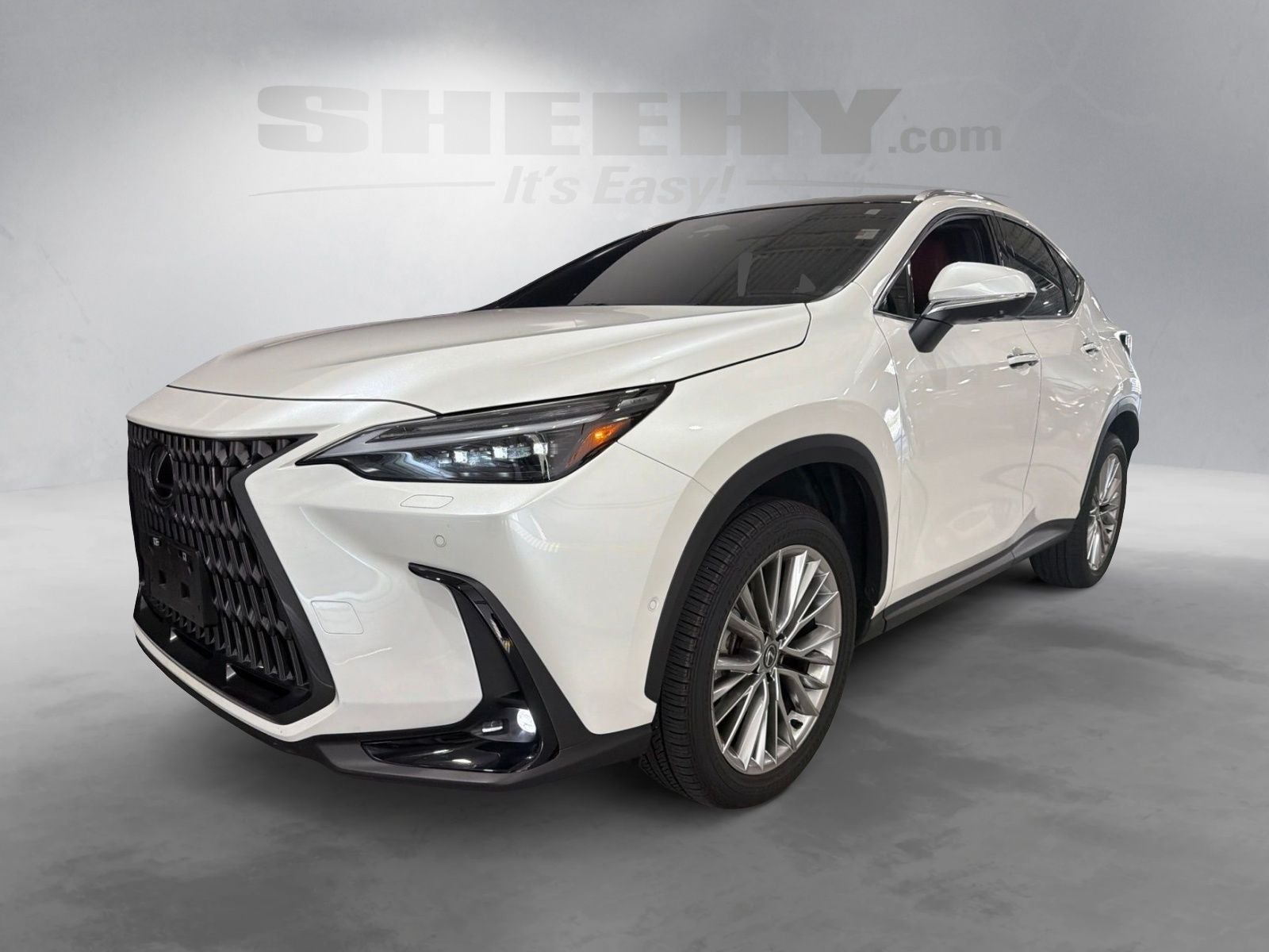 2025 Lexus NX 350 Luxury