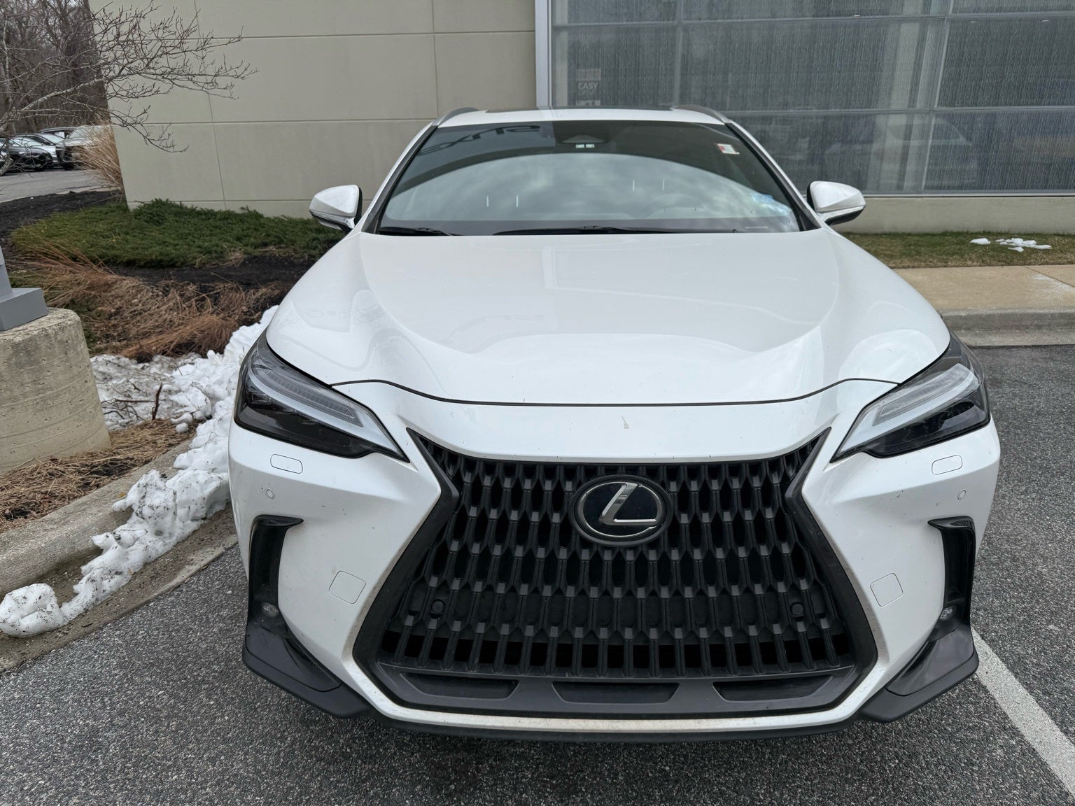 2023 Lexus NX 350 Luxury