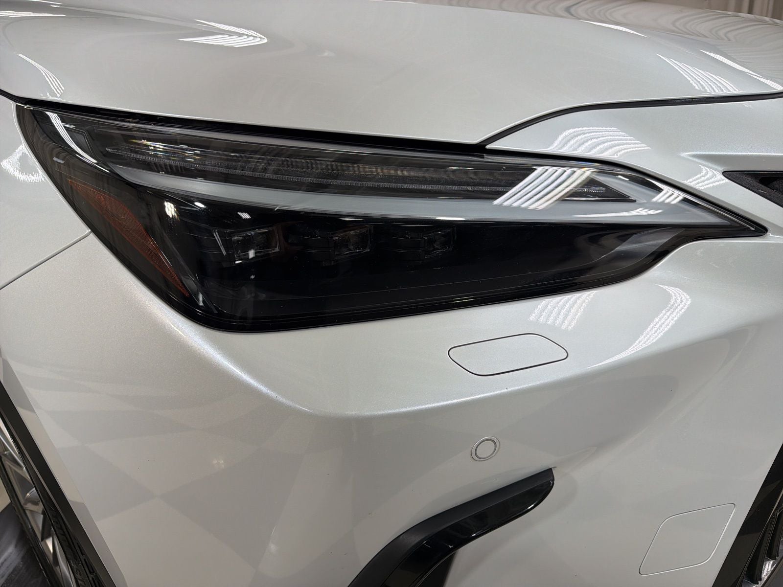 2023 Lexus NX 350 Luxury