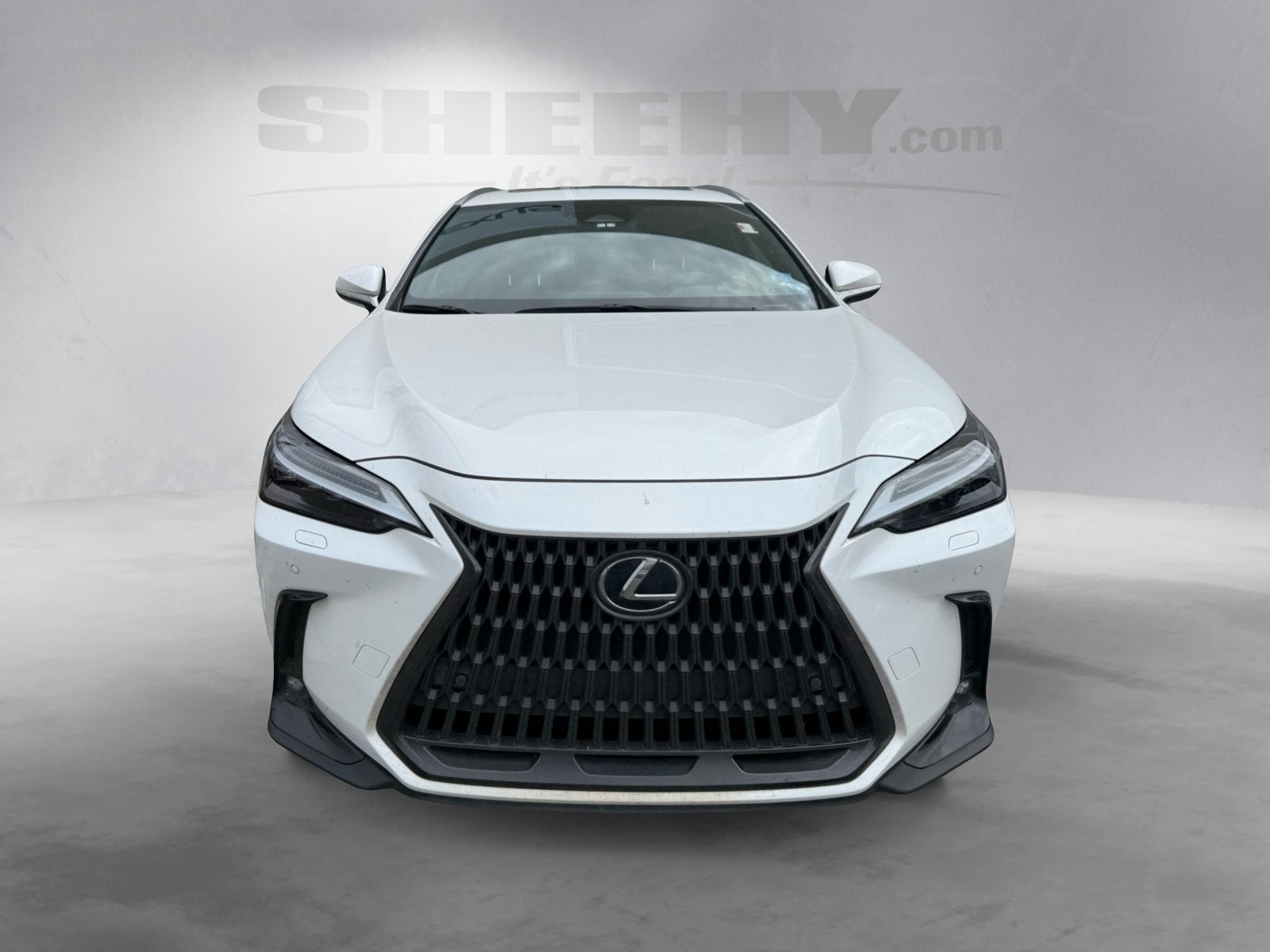 2023 Lexus NX 350 Luxury