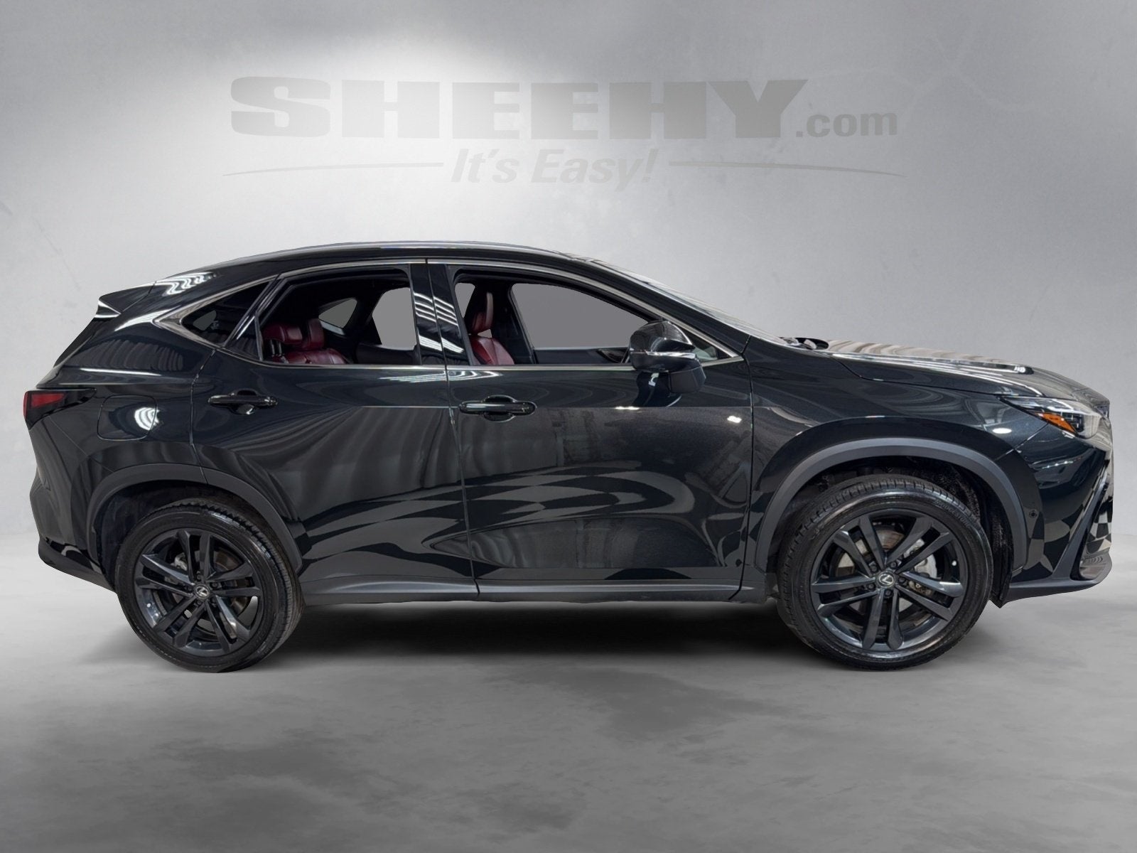 2024 Lexus NX 450h+ Luxury