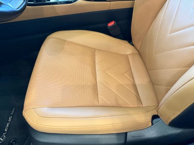 2025 Lexus NX 450h+ Luxury