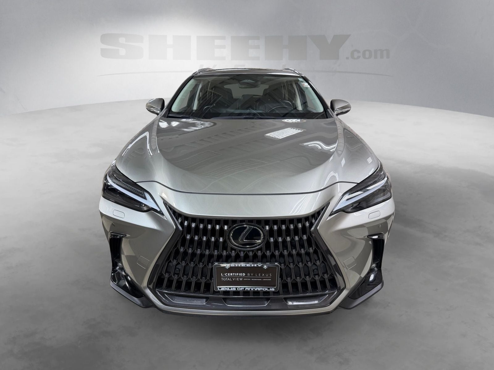 2023 Lexus NX 450h+ Luxury