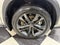 2023 Lexus NX 450h+ Luxury