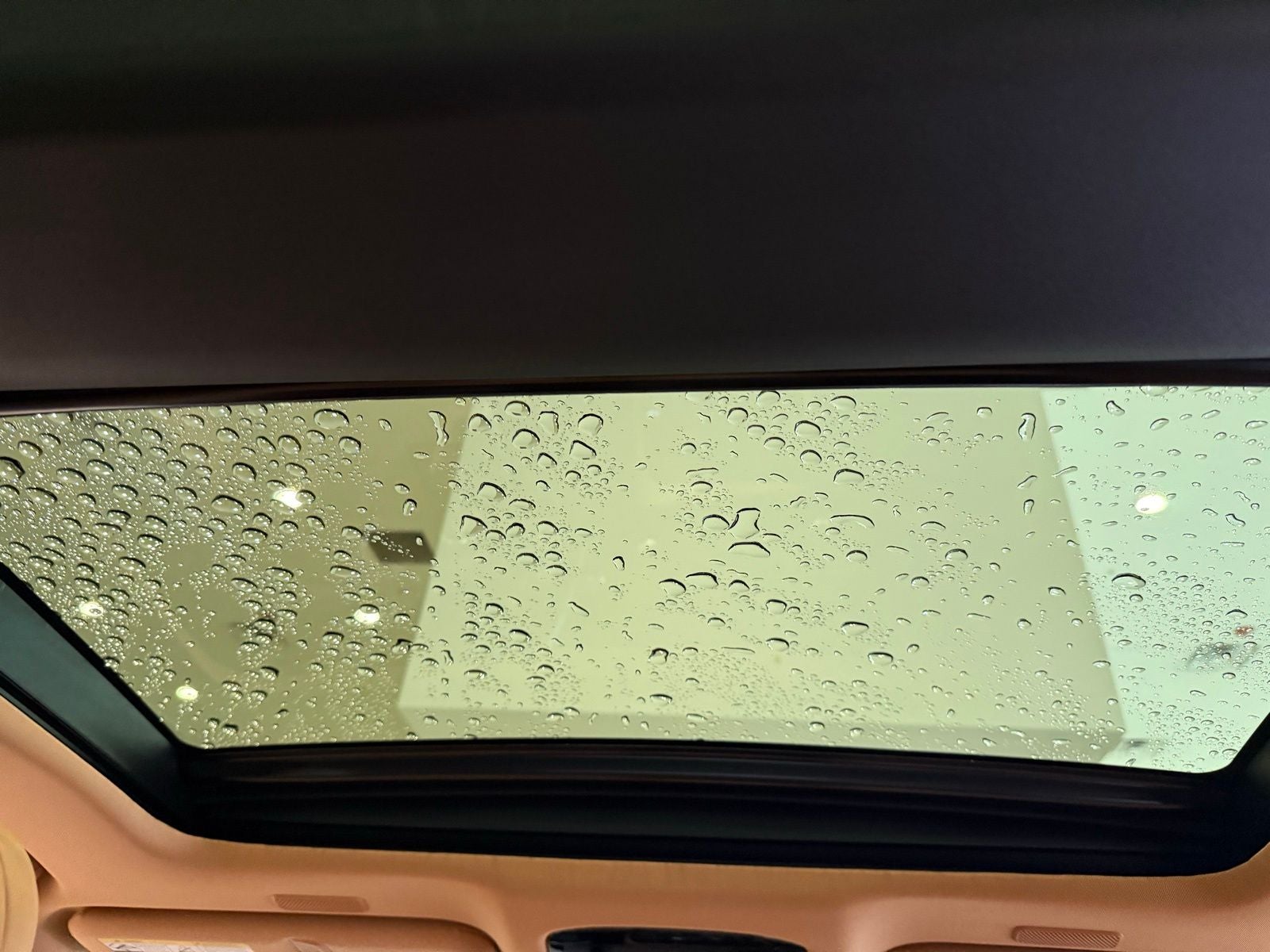 2025 Lexus NX 450h+ Luxury