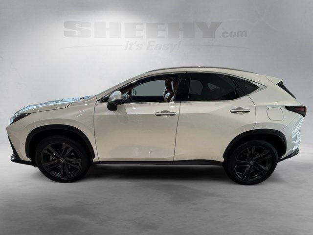 2025 Lexus NX 450h+ Luxury