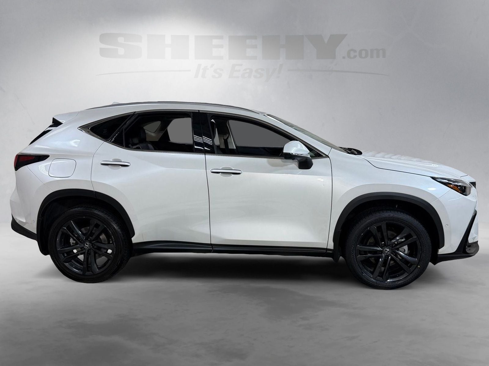 2024 Lexus NX 450h+ Luxury