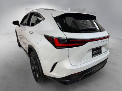2024 Lexus NX 450h+ Luxury
