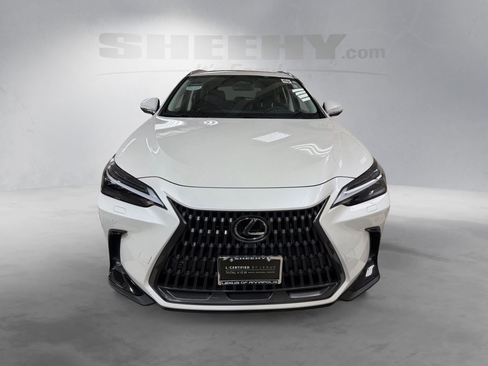 2024 Lexus NX 450h+ Luxury